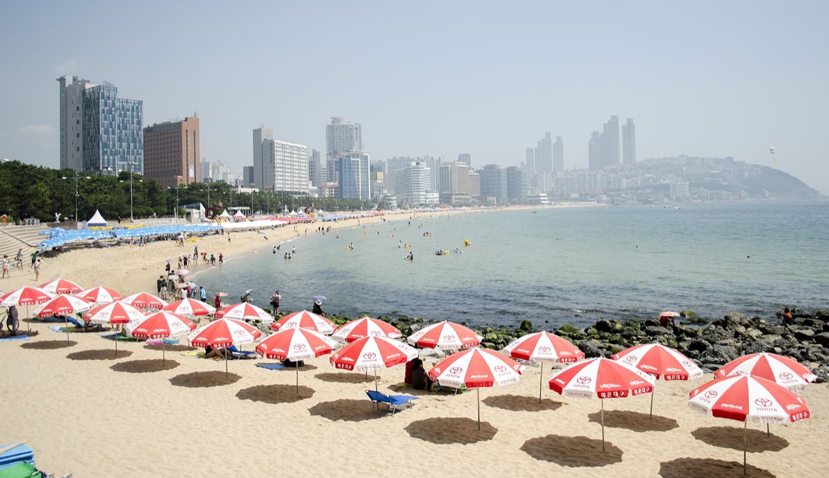 Rows of red and white parasols on Haeundae Beach in summer