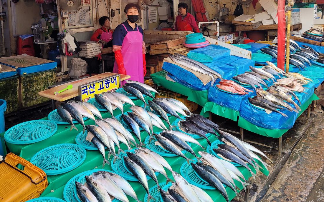Fresh fish laid out on stalls at Jagalchi Market, Busan