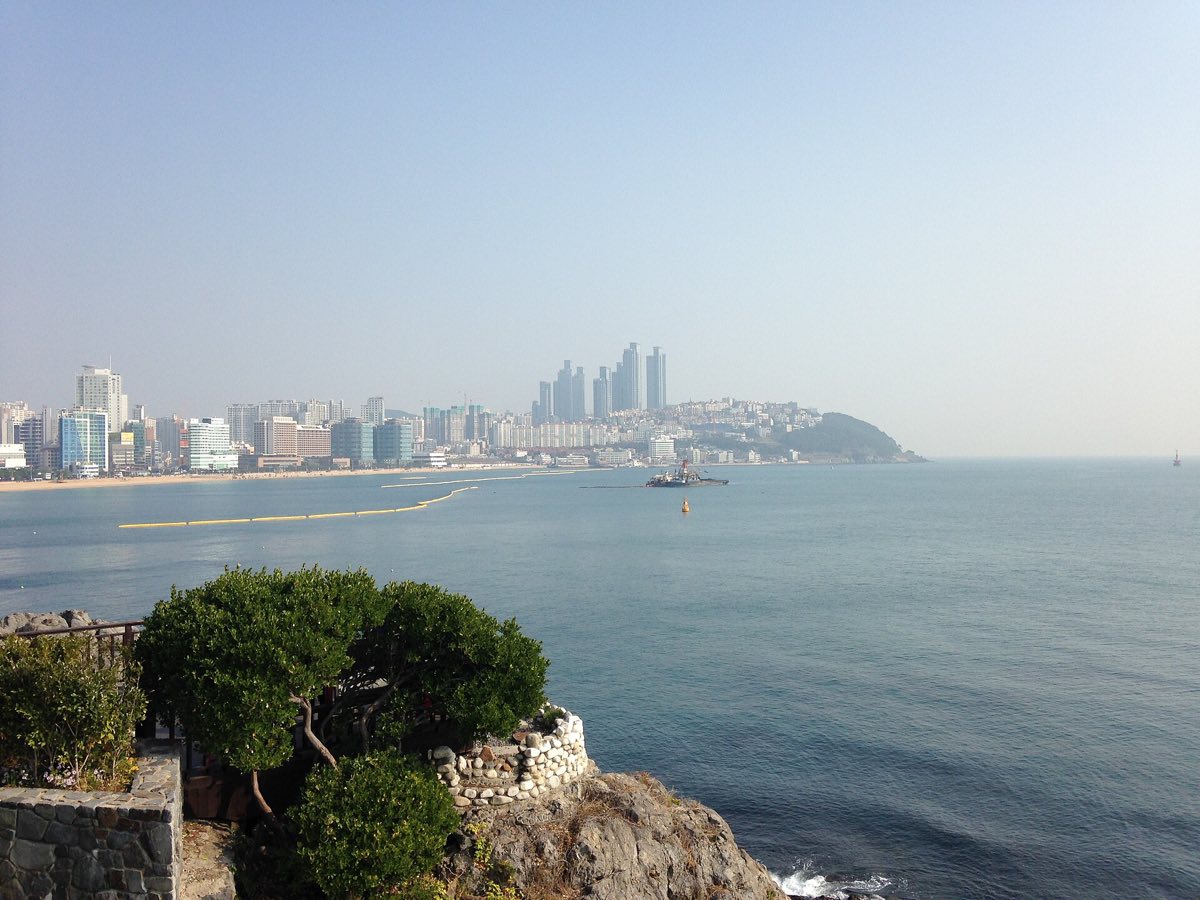 The view along the pine coast of Dalmaji Hill toward Haeundae